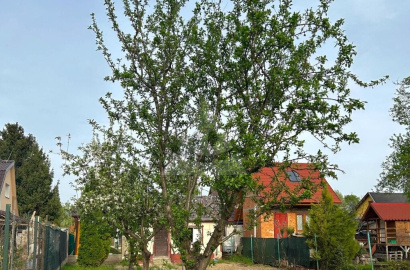 Na predaj záhrada s chatkou v Nových Zámkoch