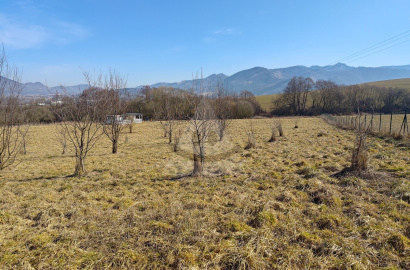 Pozemok s rekreačnou chatkou /11 271 m2/  k. ú. Strečno