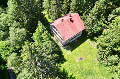 Exkluzívna Investičná Príležitosť s Príbehom: Chata pri Smrekovici s Povolením na Rekonštrukciu! Exkluzívna Investičná Príležitosť s Príbehom: Chata pri Smrekovici s Povolením na Rekonštrukciu!