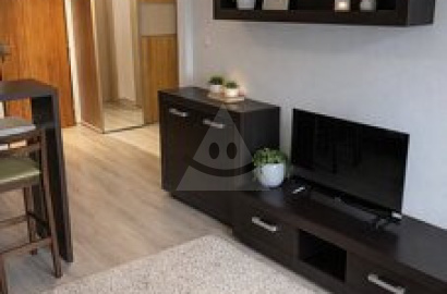 2-izbový, zrekonštruovaný byt na prenájom, Trenčin