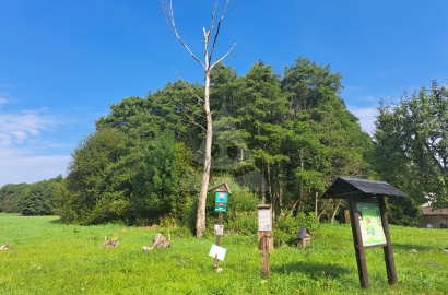 Rekreačný pozemok na predaj, Pavčina Lehota